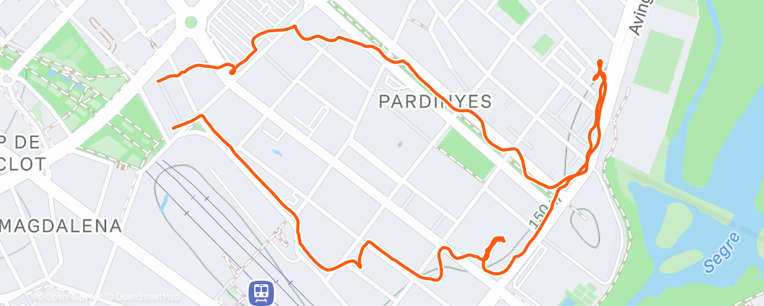 Карта физической активности (L-mini)