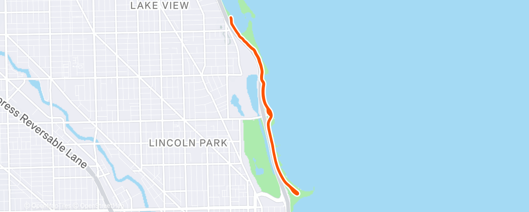 Mapa de la actividad (Morning Run)