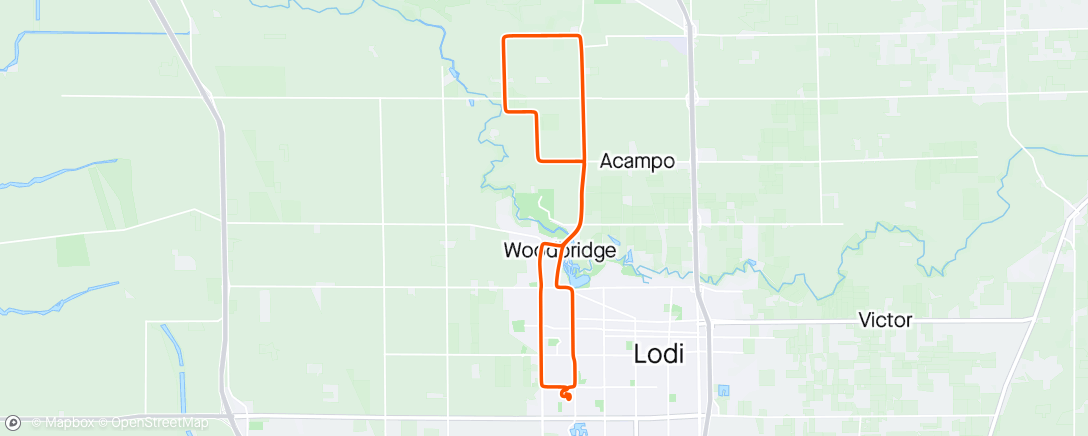 Map of the activity, Lange twins loop