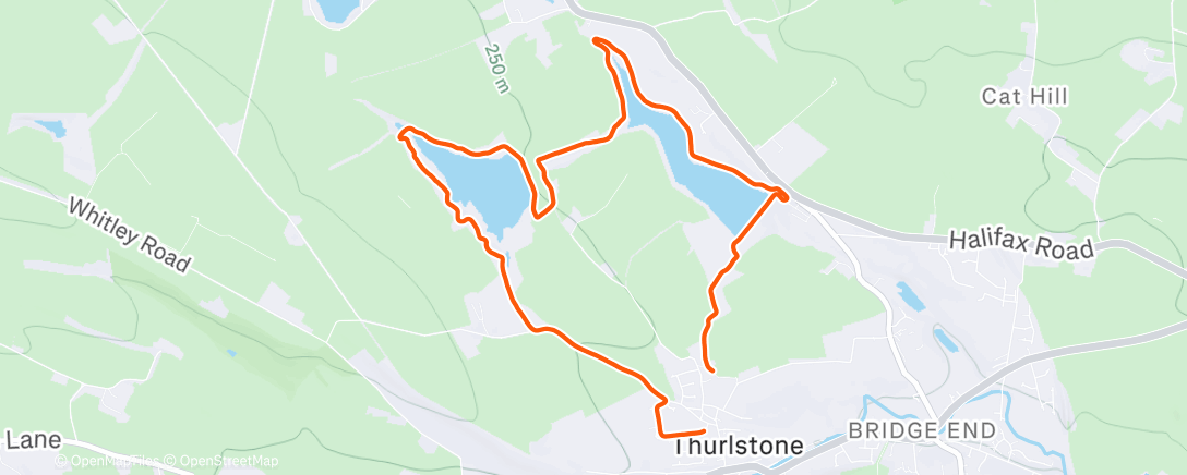 Map of the activity, Morning Run