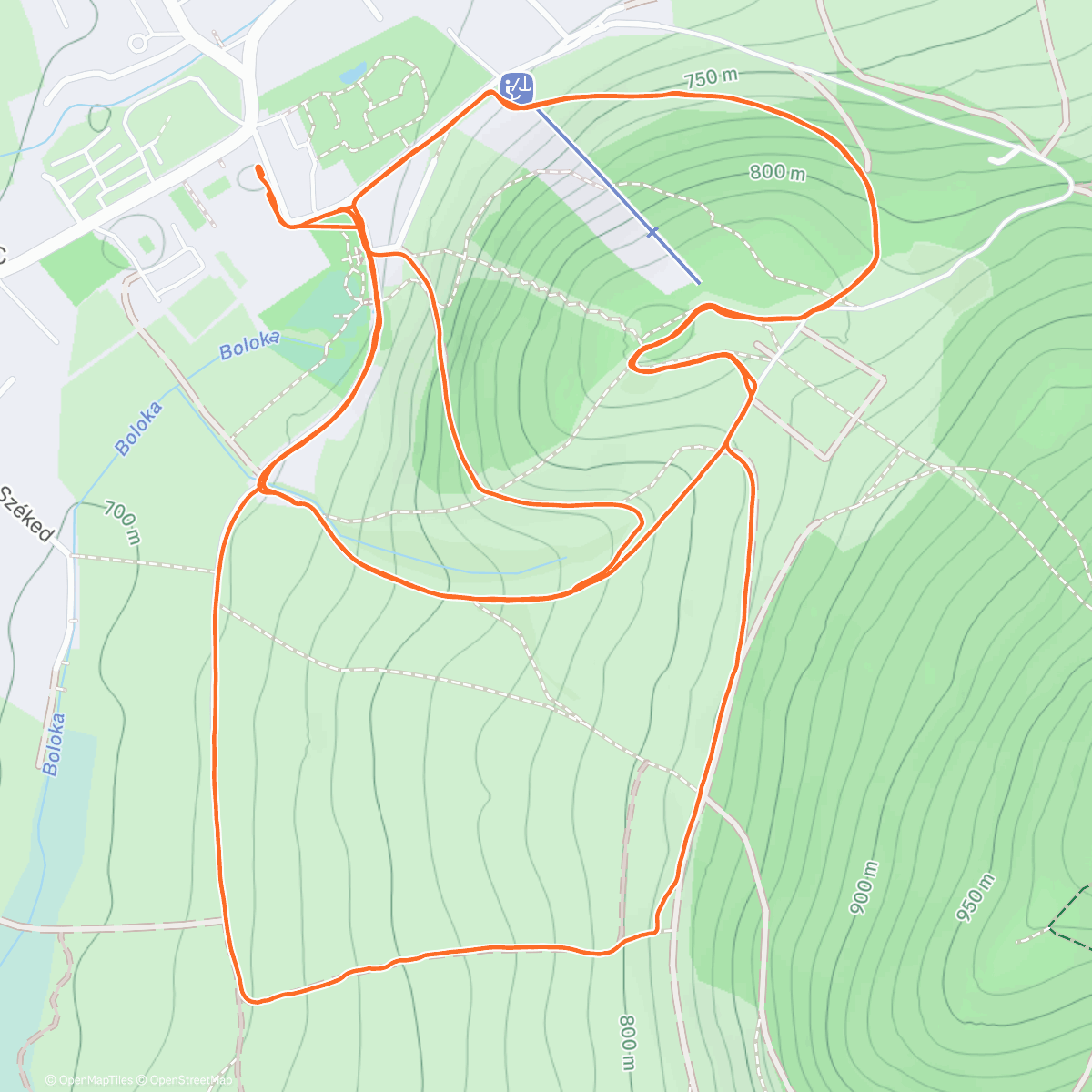 Карта физической активности (Lunch Run)