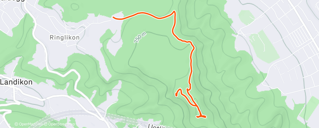 Карта физической активности (Uetliberg)