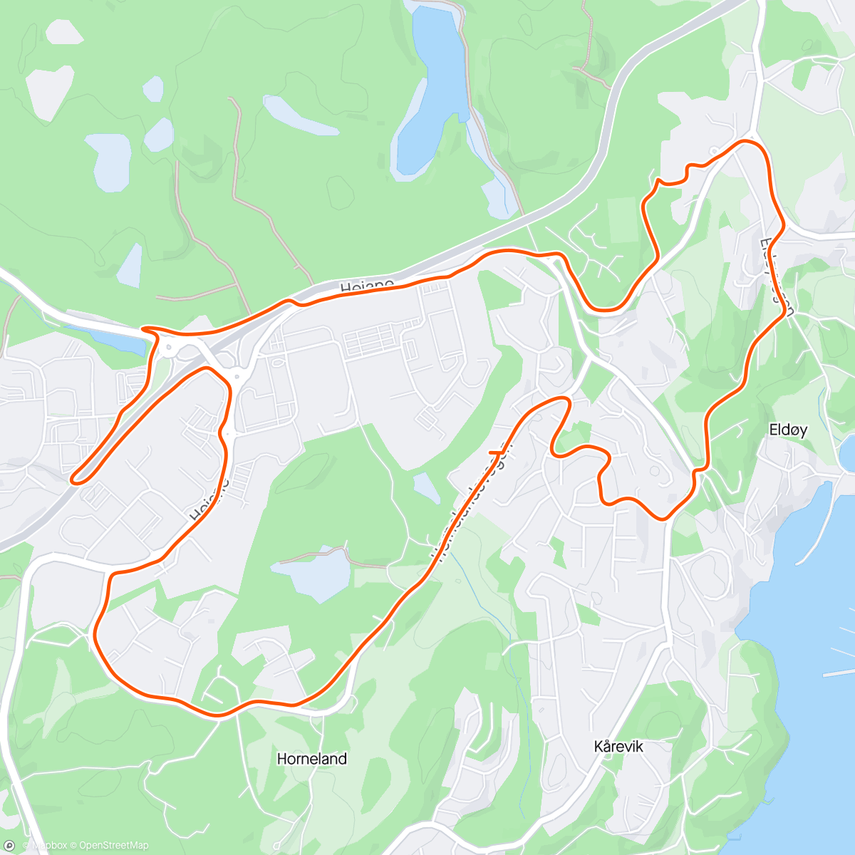 Карта физической активности (Run, Forest, run! 🏃‍➡️)