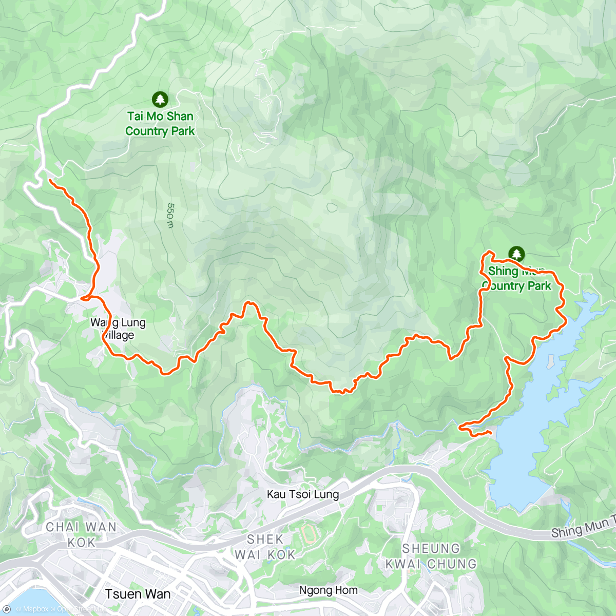Map of the activity, 川龍越野跑 part 2