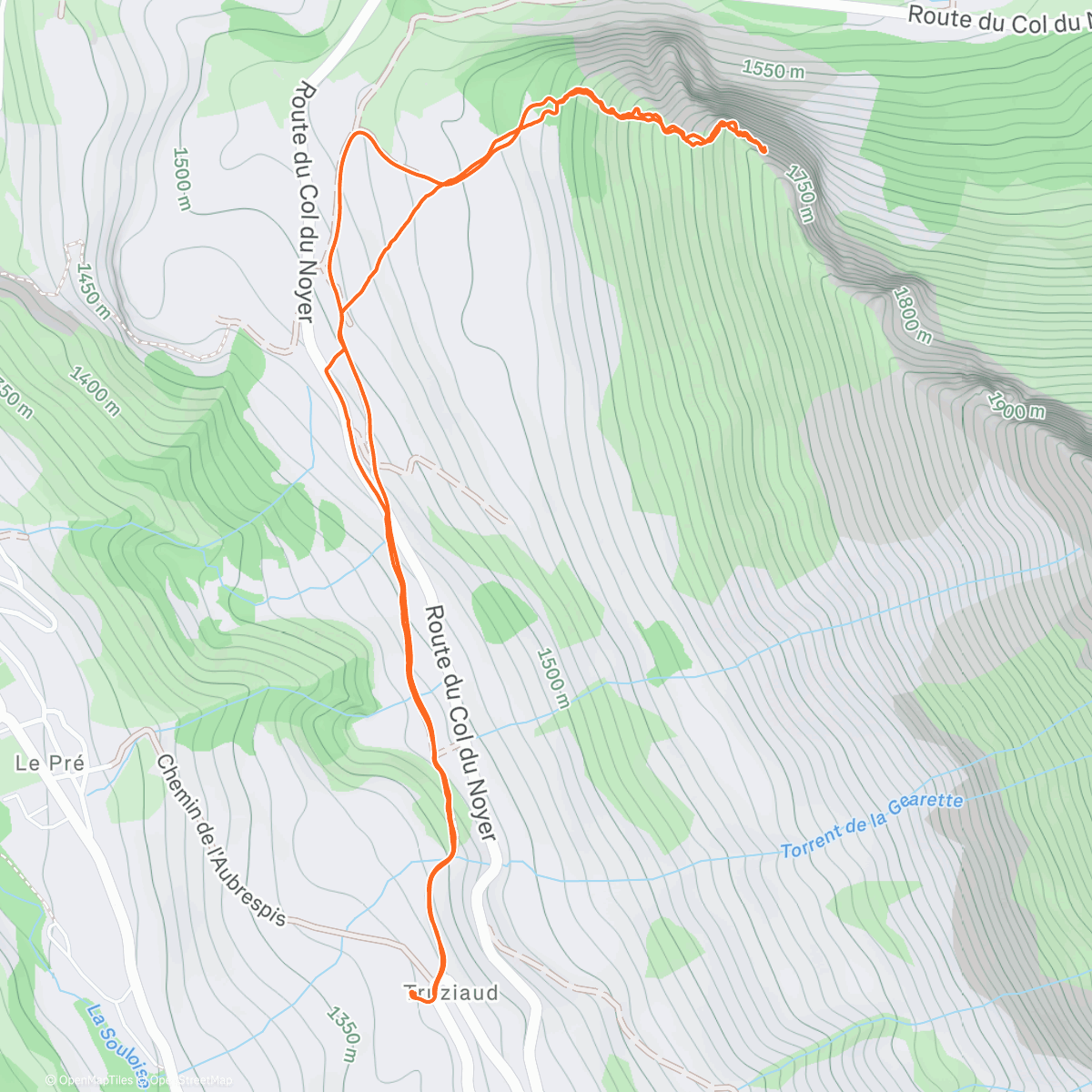 Карта физической активности (Au dessus des nuages)