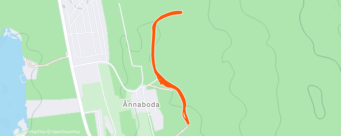 Карта физической активности (Lunch Nordic Ski)