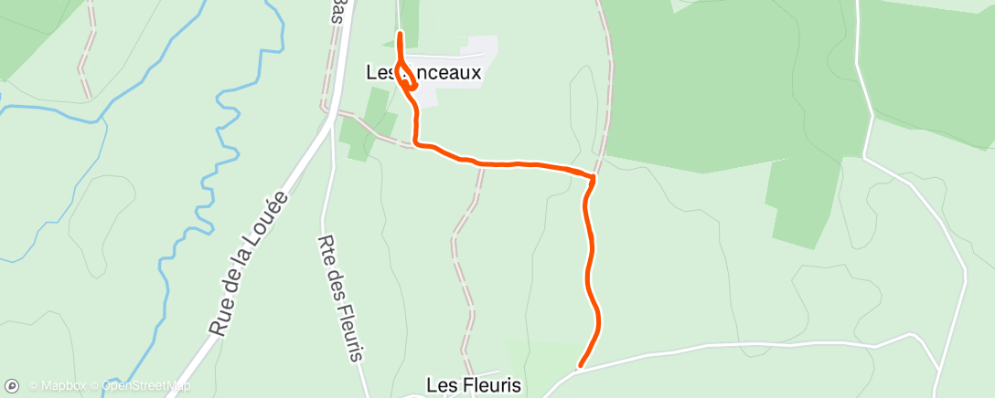 Map of the activity, Course à pied dans l'après-midi