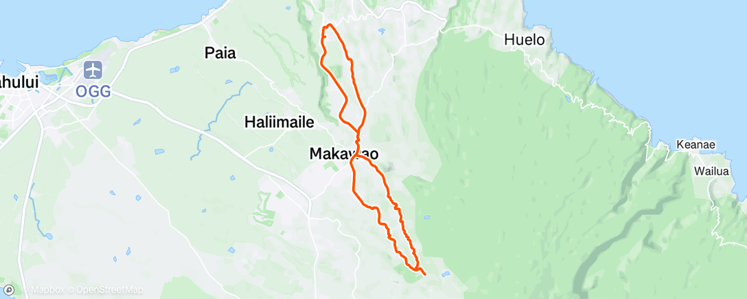 Map of the activity, No Marigolds in the Promise Land
