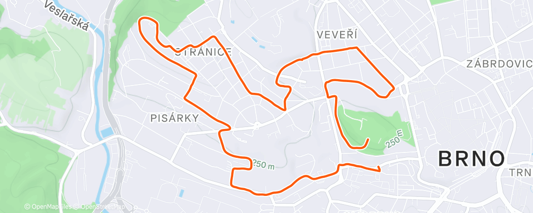 Map of the activity, Morning Run