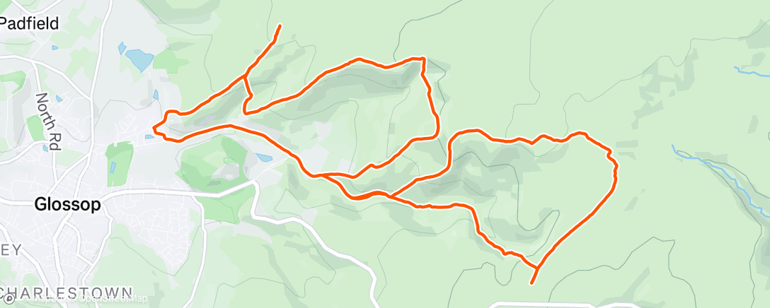 Carte de l'activité Morning Trail Run