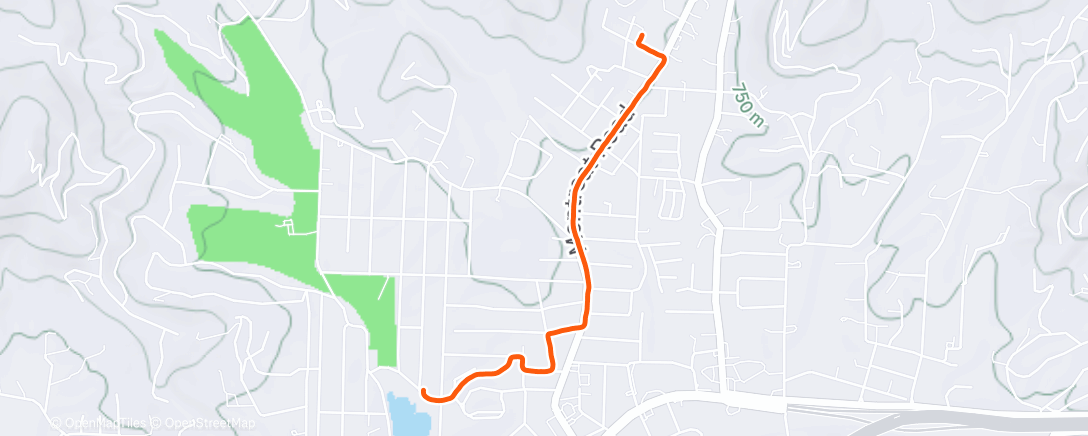 Map of the activity, Afternoon Run