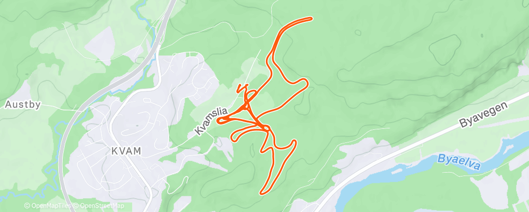 Map of the activity, NM Steinkjer dag 2