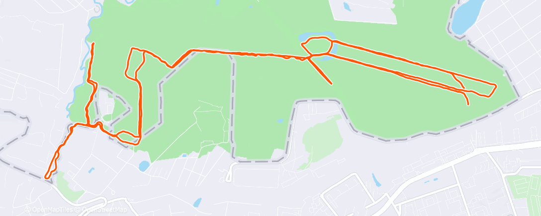 Карта физической активности (Morning Run)