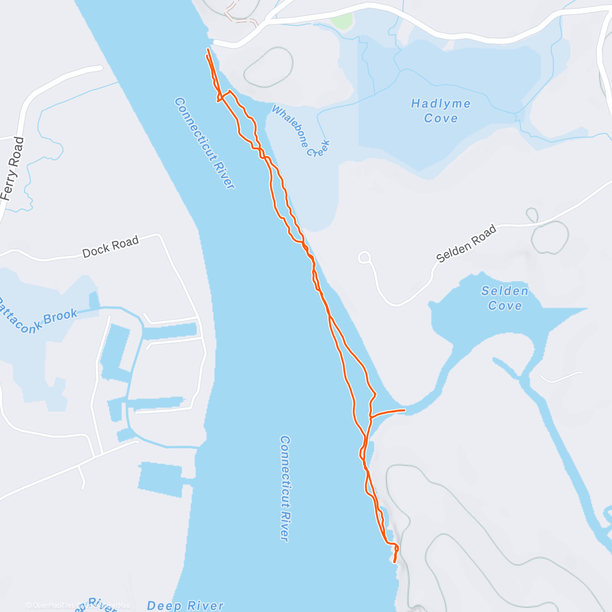 Карта физической активности (🧊northwest passage with namz)