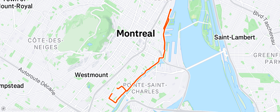 Map of the activity, Morning Run