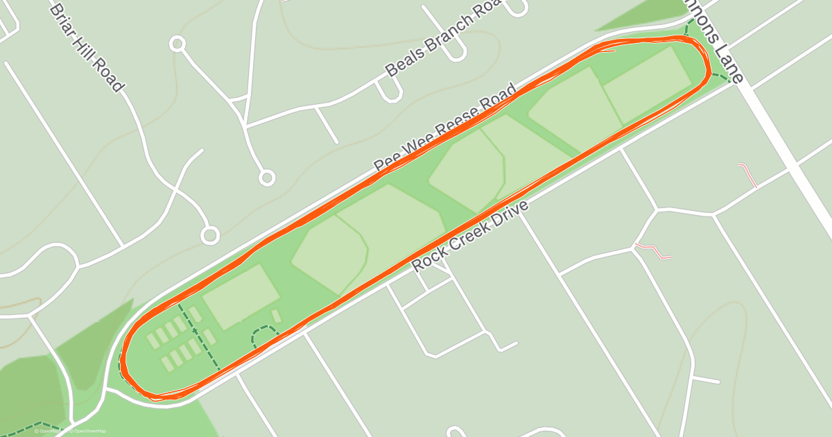 Afternoon Run | Strava