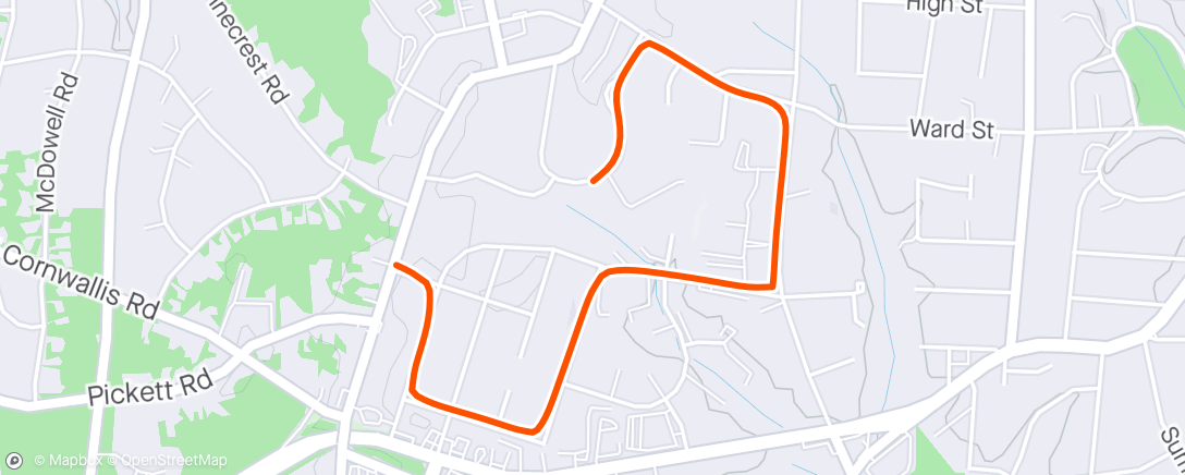 Map of the activity, ☁️ Morning Run