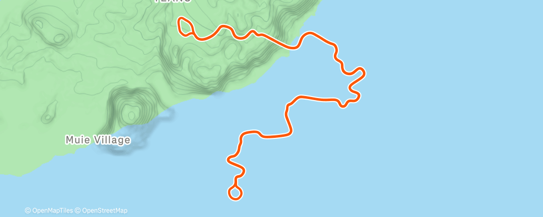 Map of the activity, Zwift - Watopia