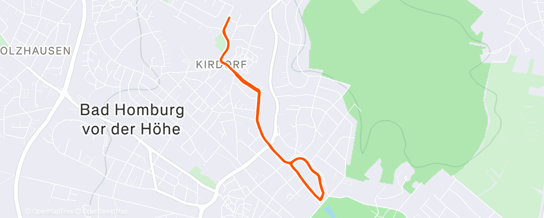 Карта физической активности (Lauf am Nachmittag)