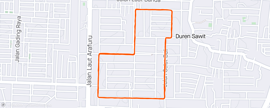 Map of the activity, Morning Run