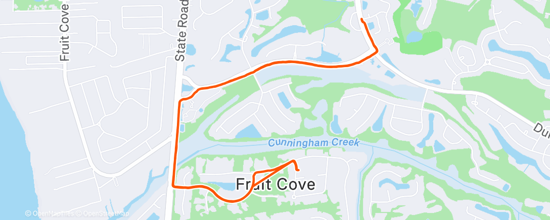 Карта физической активности (Morning Walk)