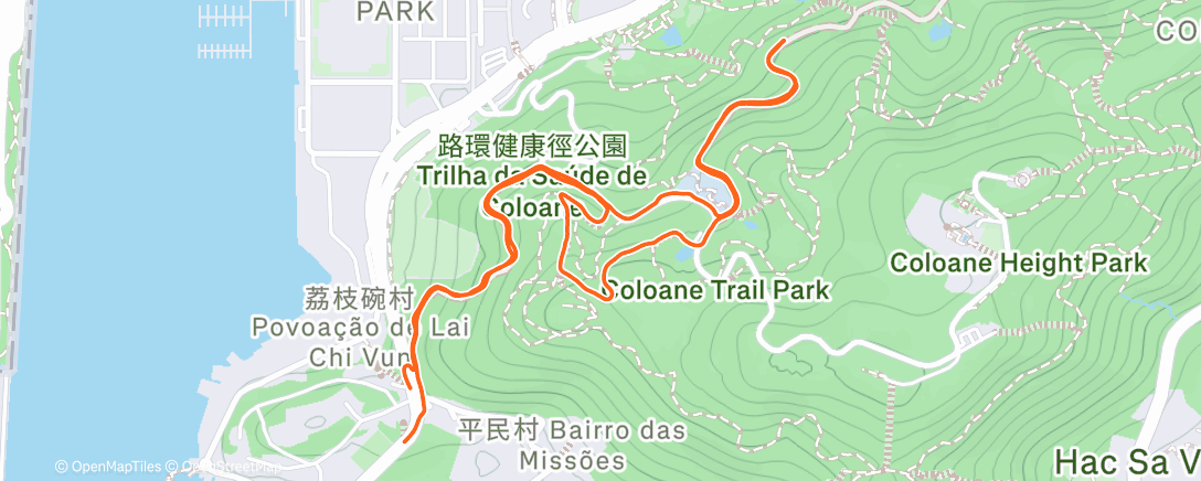 Карта физической активности (Afternoon Trail Run)