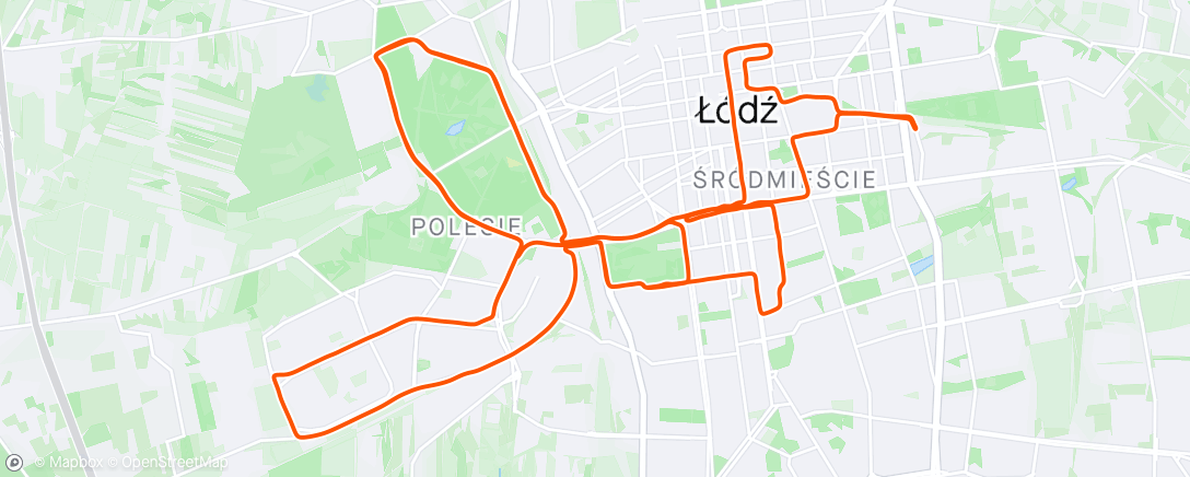 Mappa dell'attività DOZ maraton Łodź