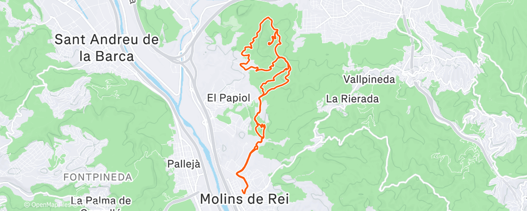Map of the activity, Morning Trail Run