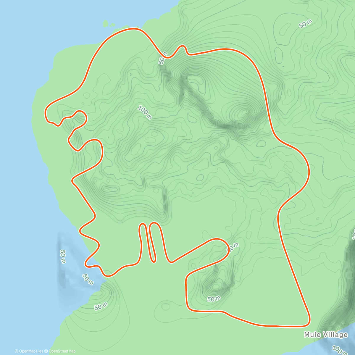 Map of the activity, Zwift - Easy Hour on Flat Route in Watopia