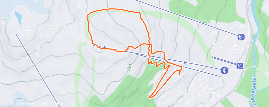Map of the activity, Afternoon Run