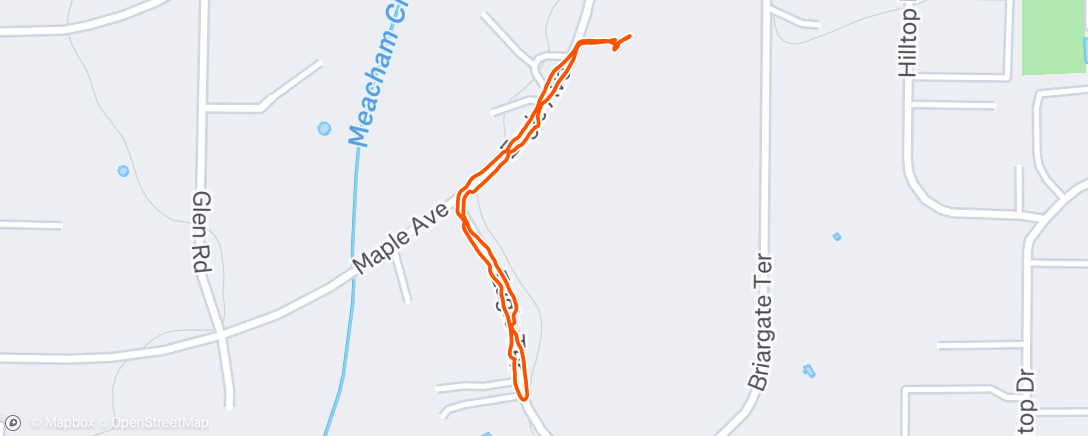 Map of the activity, Afternoon Walk