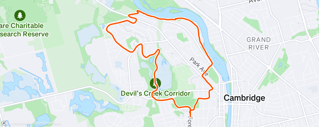 Mappa dell'attività Run