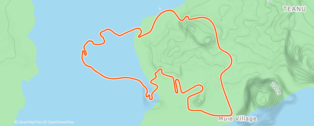 Map of the activity, Zwift - ZWIFT 05 Vo2-Intervalle (4Min): 5x4 on Beach Island Loop in Watopia