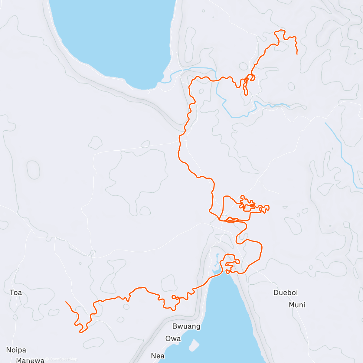 Карта физической активности (Zwift - Shisa Shakedown in Makuri Islands)
