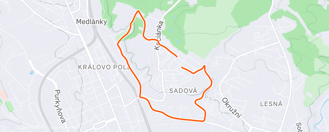 Map of the activity, Lunch Trail Run