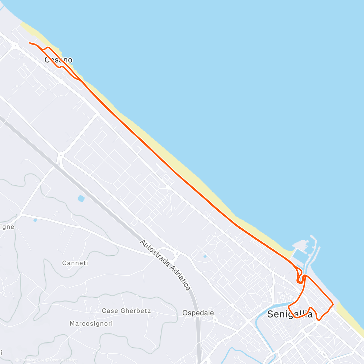 Map of the activity, Silver surfer