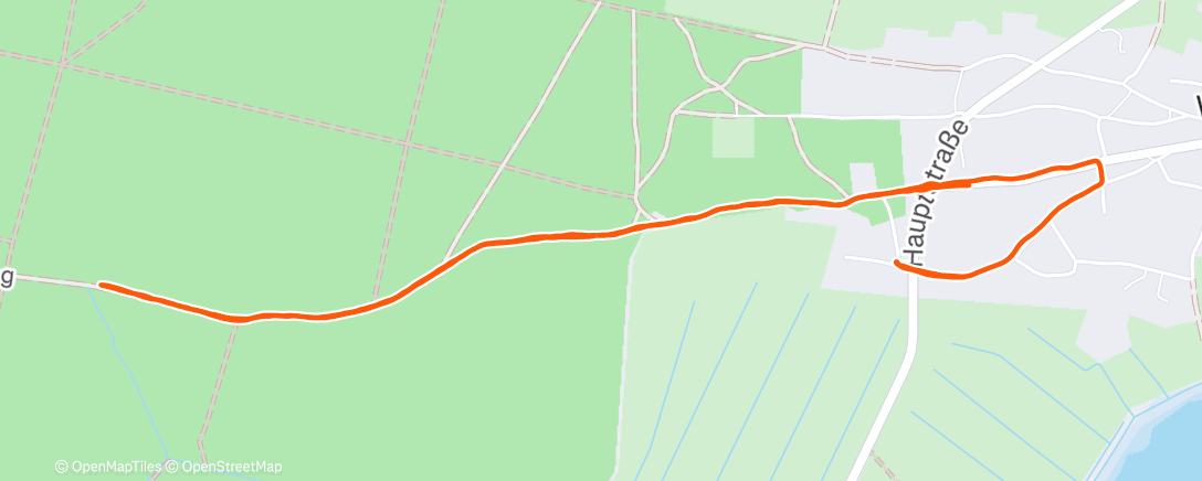 Карта физической активности (Morning Run)