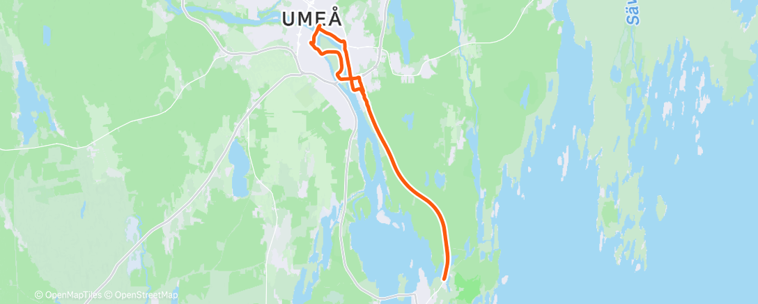 Map of the activity, Morning Run
