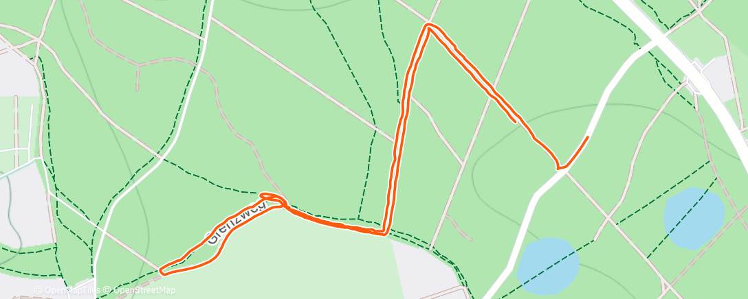 Карта физической активности (Spaziergang am Nachmittag)