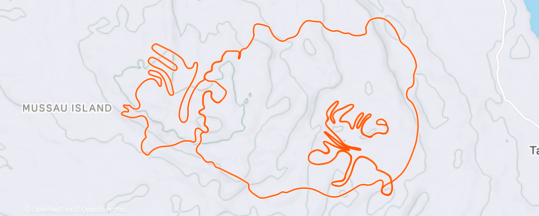 Карта физической активности (TrainingPeaks Virtual - Workout: Low cadence (threshold))
