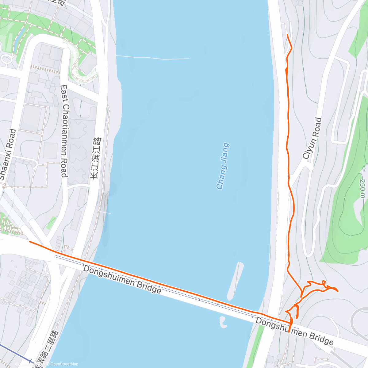 Карта физической активности (Motor or 下浩里)