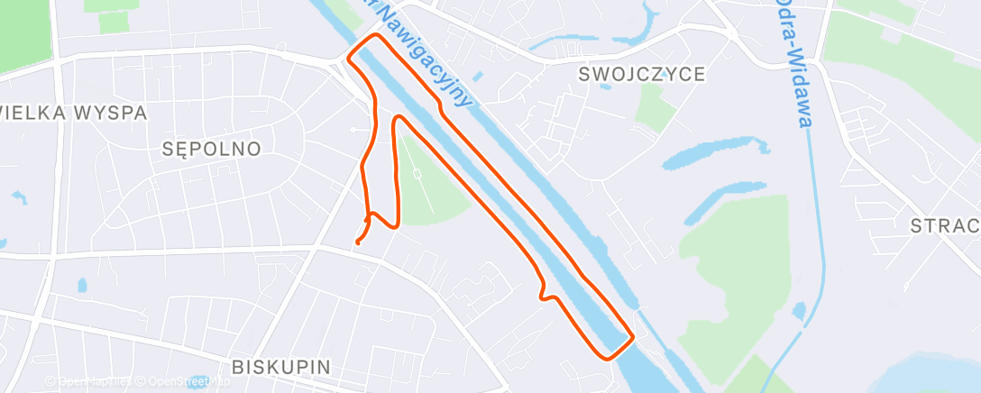 Карта физической активности (Morning Walk)