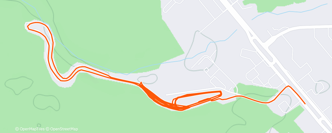 Карта физической активности (Evening Run)