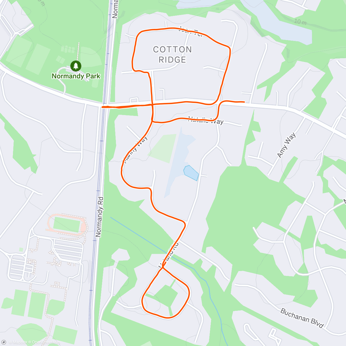 Map of the activity, Local run