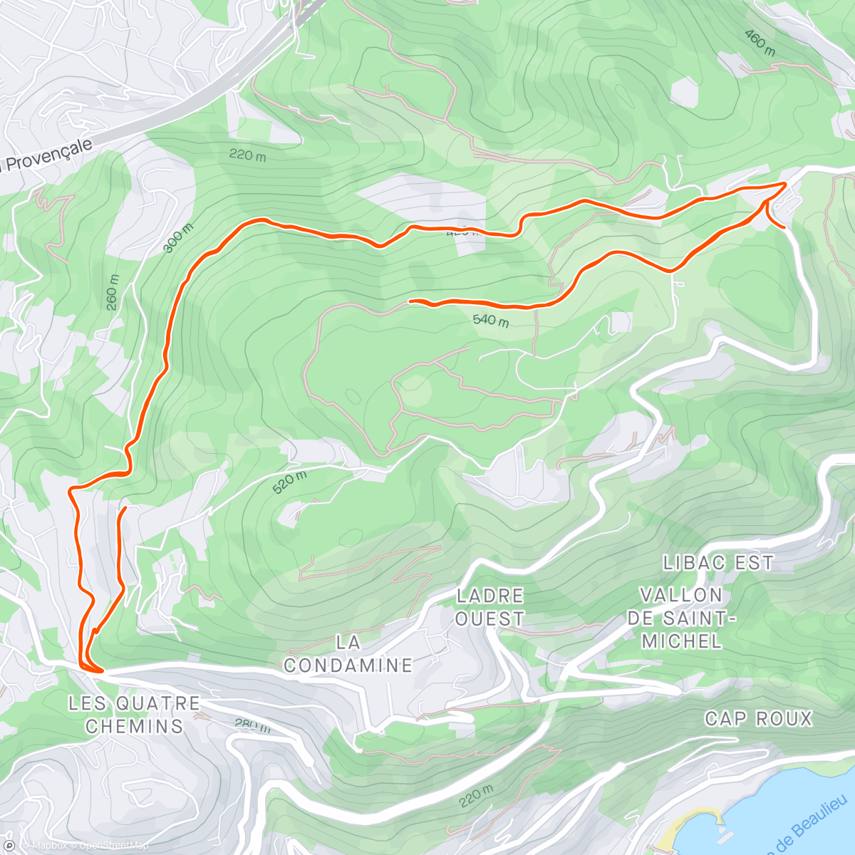 Map of the activity, Copain comme cochon