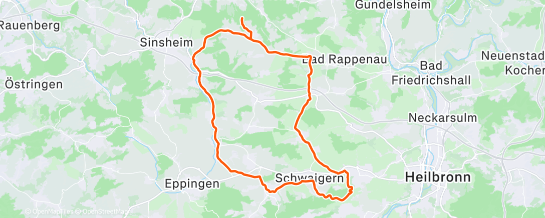 Карта физической активности (CCHD - Zur Heuchelberger Warte (Kurzversion))