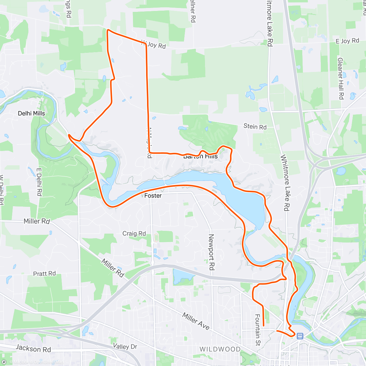 Map of the activity, lizzy bop