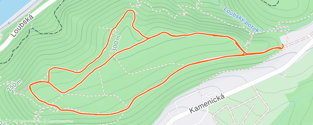 Map of the activity, Afternoon Run