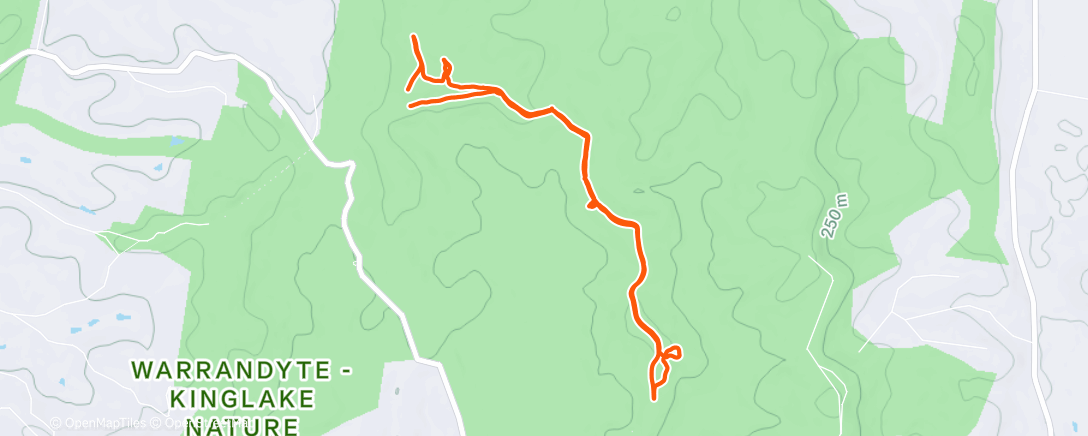 Map of the activity, Morning Walk