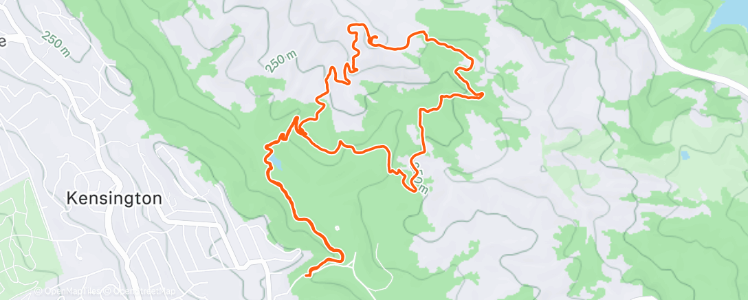 Map of the activity, Morning Trail Run